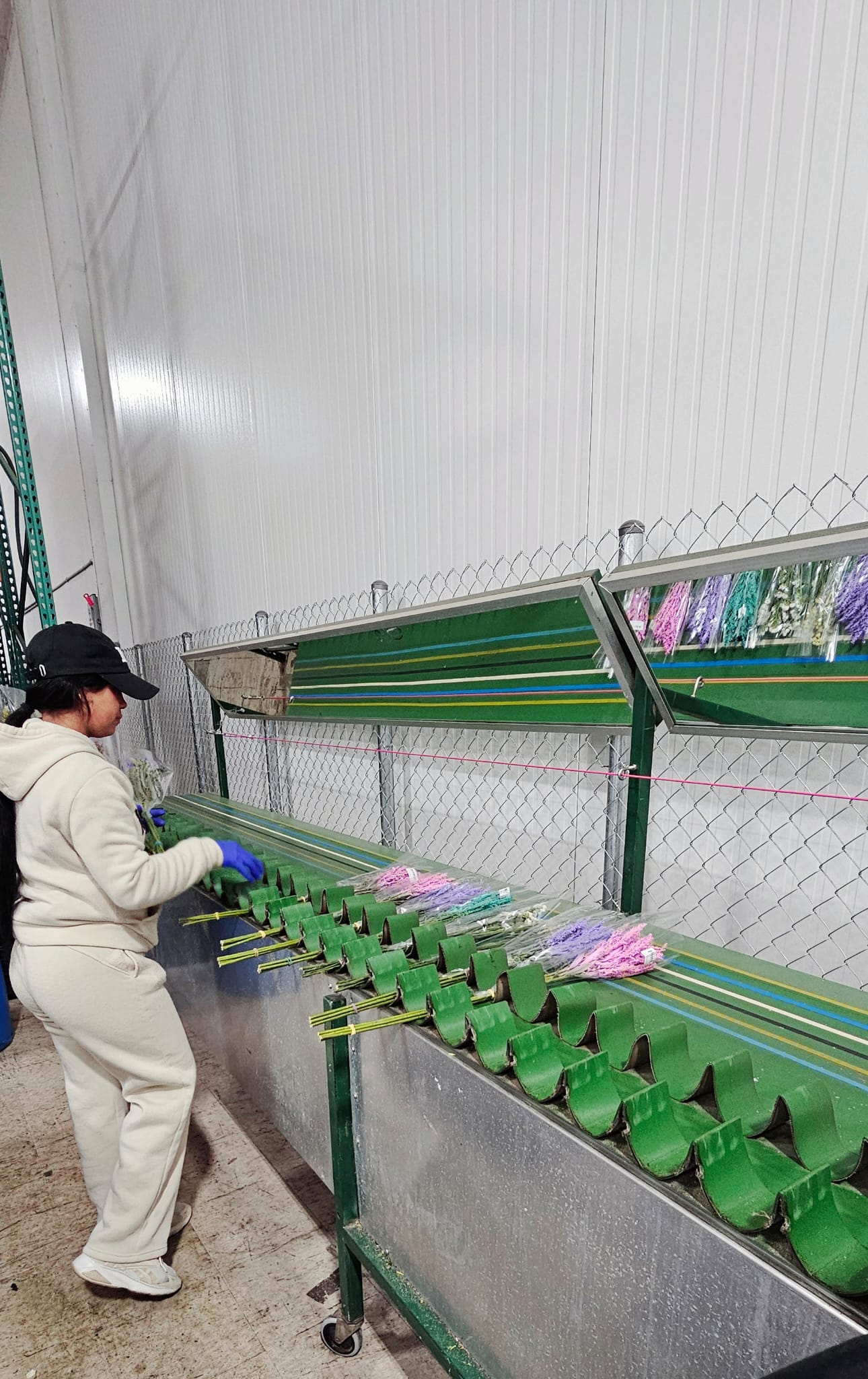 K&M Production Line